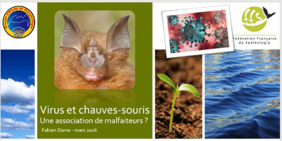 Virus et chauves-souris,une association de malfaiteurs ? - Fabien Darne 03-03-2026