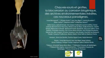 Chauves souris et grottes, la biocorrosion par Lionel Barriquand