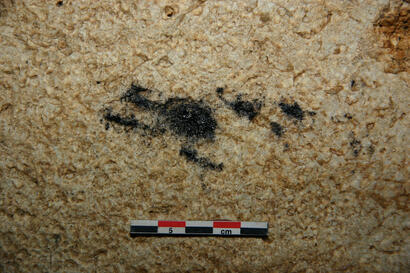 Philippe Galant - Trace de torche d'éclairage du mésolithique Philippe Galant - Trace de torche d'éclairage du mésolithique