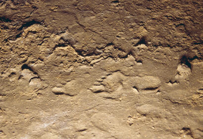 Philippe Galant - Empreinte de pas humains Philippe Galant - Empreinte de pas humains