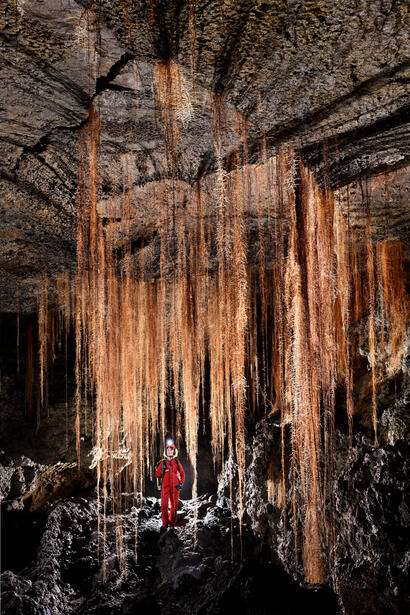 Racines dans un tube de lave (Nouvelle Zelande) Racines dans un tube de lave (Nouvelle Zelande)