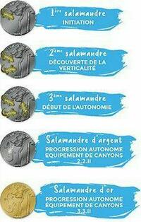 Salamandres Salamandres